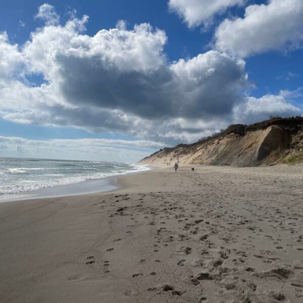 Photos from a Holiday week