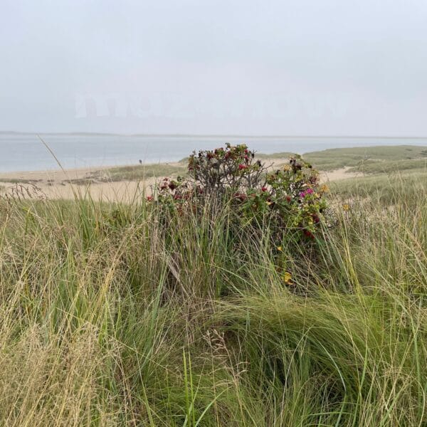 Is This What You Call Progress? #CreativeProcess