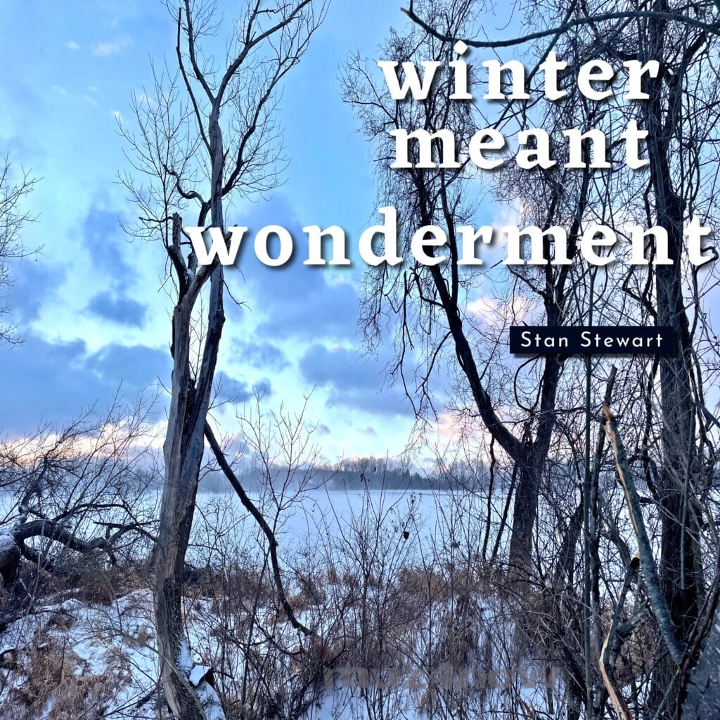 The cover of the music album "Winter Meant Wonderment" by Stan Stewart is bare trees in the foreground with a snow-covered field in the background. The sky is cloudy with blue, gray, and pink hues.