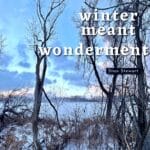 The cover of the music album "Winter Meant Wonderment" by Stan Stewart is bare trees in the foreground with a snow-covered field in the background. The sky is cloudy with blue, gray, and pink hues.