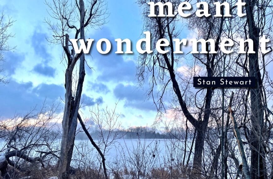 The cover of the music album "Winter Meant Wonderment" by Stan Stewart is bare trees in the foreground with a snow-covered field in the background. The sky is cloudy with blue, gray, and pink hues.