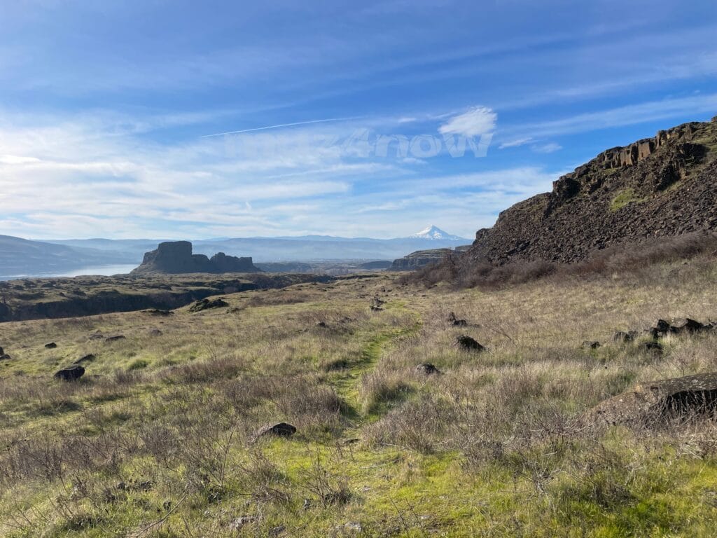 Beyond a dry, grassy field are tall, rocky pillars and hills with a snow-capped mountain beyond them. The sky is mostly full of wispy clouds and jet trails. It's mid-winter in the Columbia Gorge.