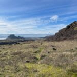 Beyond a dry, grassy field are tall, rocky pillars and hills with a snow-capped mountain beyond them. The sky is mostly full of wispy clouds and jet trails. It's mid-winter in the Columbia Gorge.