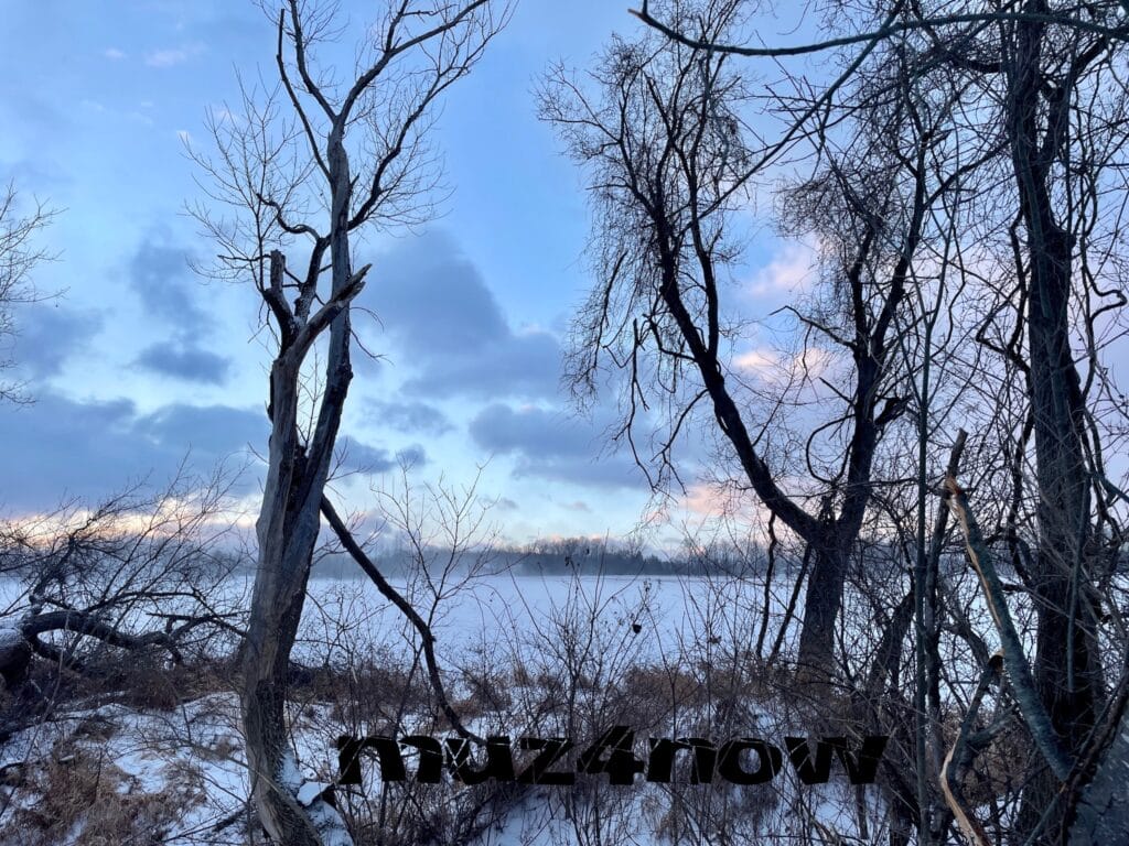 Bare trees in the foreground with a snow-covered field in the background. The sky is cloudy with blue, gray, and pink hues. For the blog post The Hopeful Wonder That Winter Means.