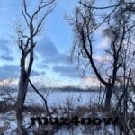 Bare trees in the foreground with a snow-covered field in the background. The sky is cloudy with blue, gray, and pink hues. For the blog post The Hopeful Wonder That Winter Means.