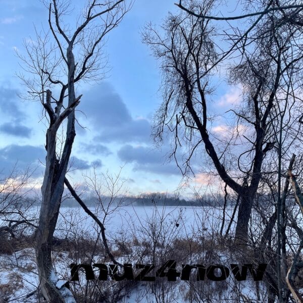 The Hopeful Wonder That Winter Means