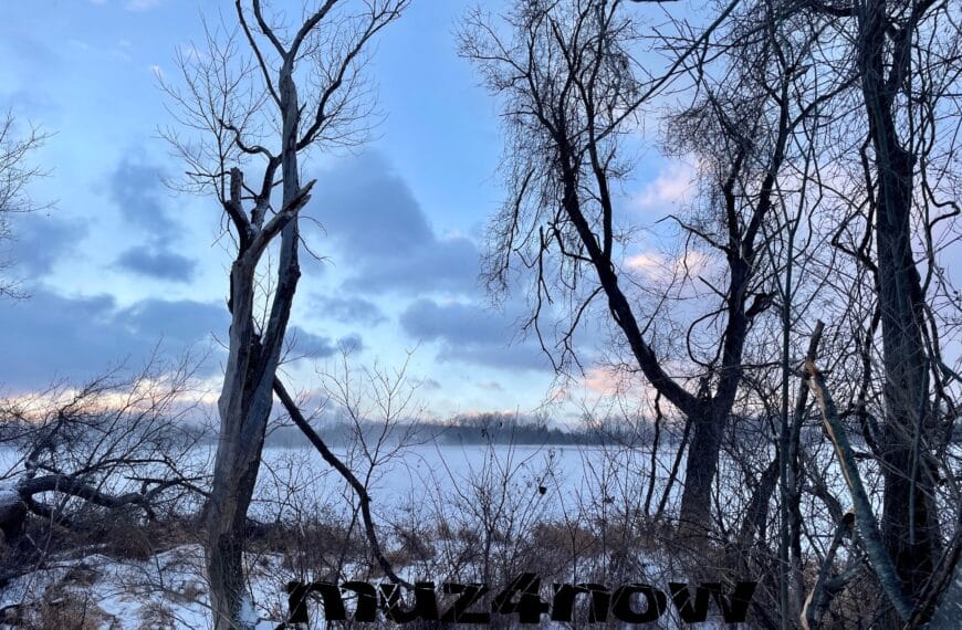 Bare trees in the foreground with a snow-covered field in the background. The sky is cloudy with blue, gray, and pink hues. For the blog post The Hopeful Wonder That Winter Means.