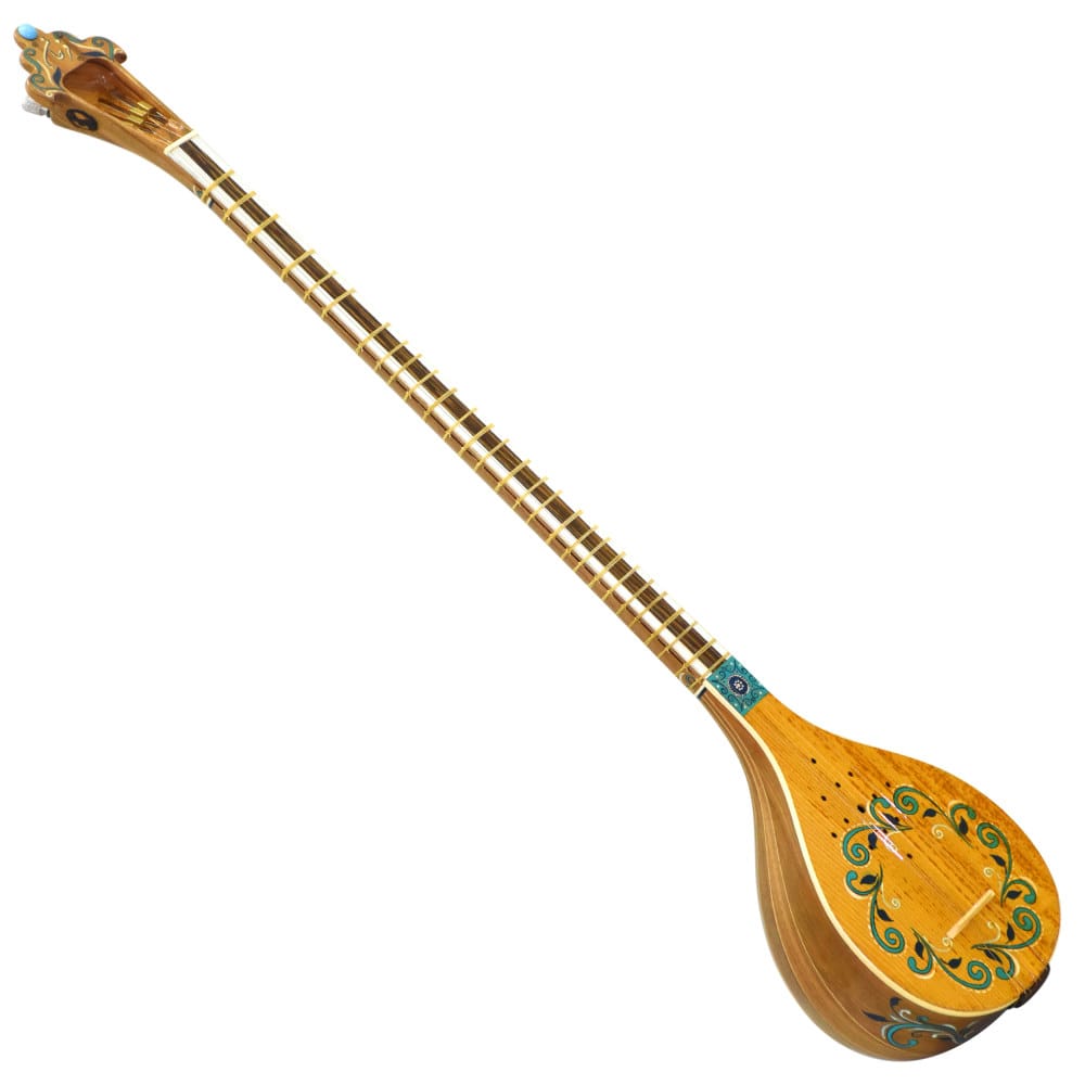 A very ornately decorated setar (Persian stringed instrument).