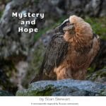 A bearded vulture stands on a grey rock. The bird is looking off to the left where the words "Mystery and Hope" a written. Below the photo are these words: by Stan Stewart - 5 instrumentals inspired by Persian instruments