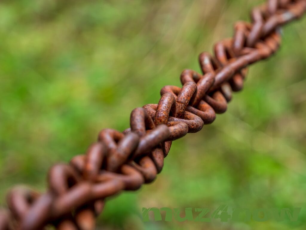 A rusty chain with blurry green background is symbolic of connection. Original photo by https://pixabay.com/users/analogicus-8164369/