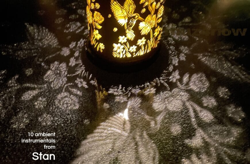 A solar light with shapes cut in the cylinder around it casts light shadows of flowers and birds on the surface in front of it. The word "singularity" is written at the bottom of the image since this is the cover art for that album by Stan Stewart.
