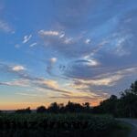 A magnificent array of clouds across the sky is decorated by the golden sunrise.