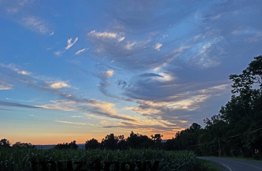 A magnificent array of clouds across the sky is decorated by the golden sunrise.