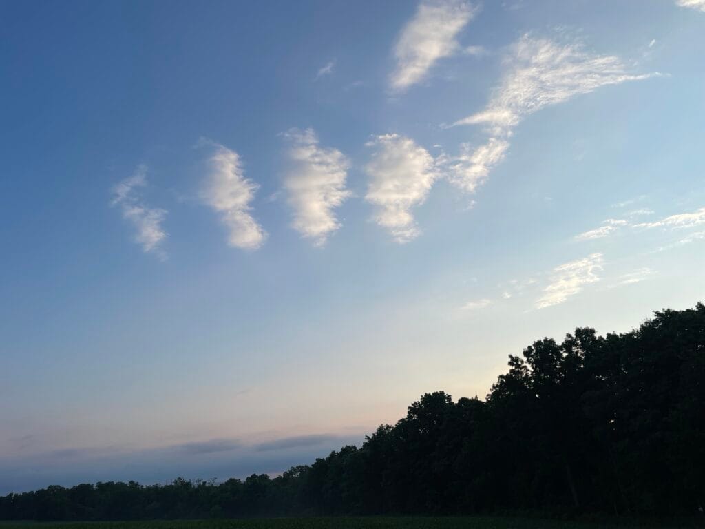 A handful of fluffy clouds hover above the silhouette of a forest.