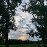 The golden setting sun is mostly hidden by clouds. It is framed on either side by the silhouette of trees.