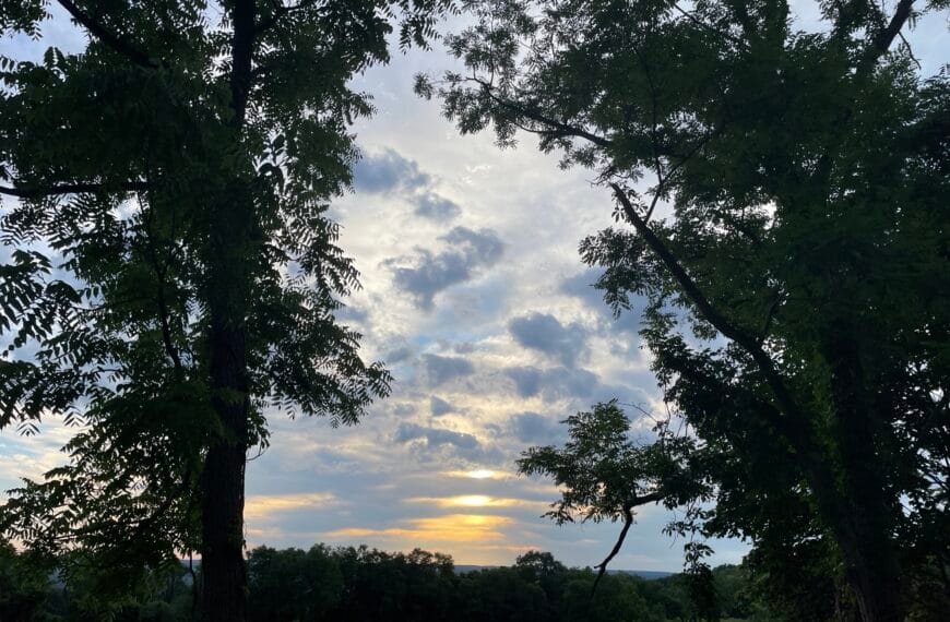 The golden setting sun is mostly hidden by clouds. It is framed on either side by the silhouette of trees.