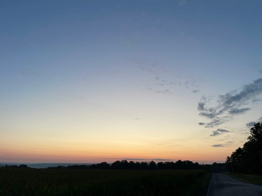 The silhouette of earth bound trees lines the bottom of the sky as the sun has disappeared below the horizon. The sky is hazy, but with only a few wispy clouds.