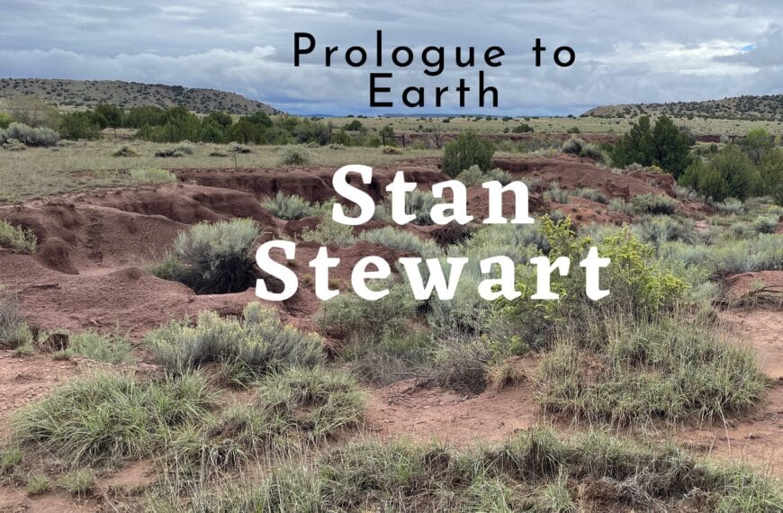 A ravine in the red sand of the New Mexico desert creates the landscape for the cover art on "Injustice: Prologue to Earth" by Stan Stewart.