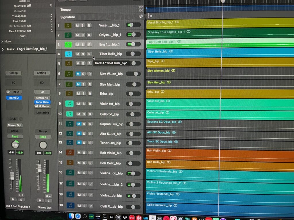 Colorful green, yellow, blue, and brown stripes on the right side of a screen represent the audio in various tracks in Logic Pro. On the left are two "faders" with green segments indicating playback is happening. In between these are the names of the individual tracks. This is one part of making music.